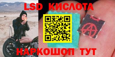 твердый Славгород