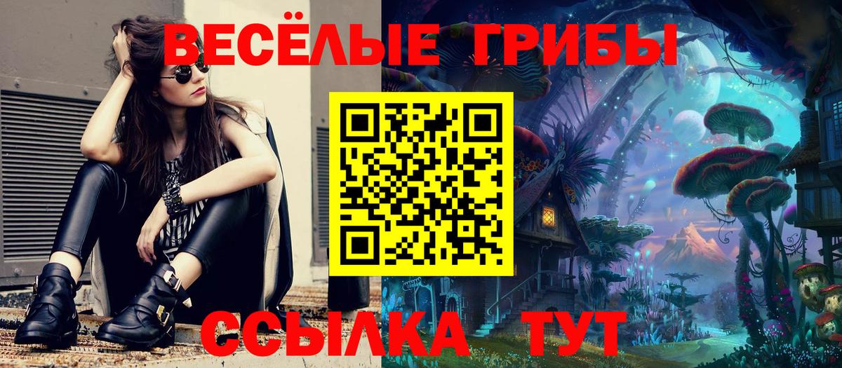 Юрга  Галлюциногенные грибы Psilocybe  Псилоцибиновые грибы Magic Shrooms  Вход с VPN 